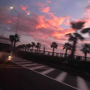 肏少妇骚屄里面真带劲高清视频
