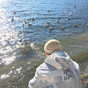 肏少妇骚屄里面真带劲高清视频
